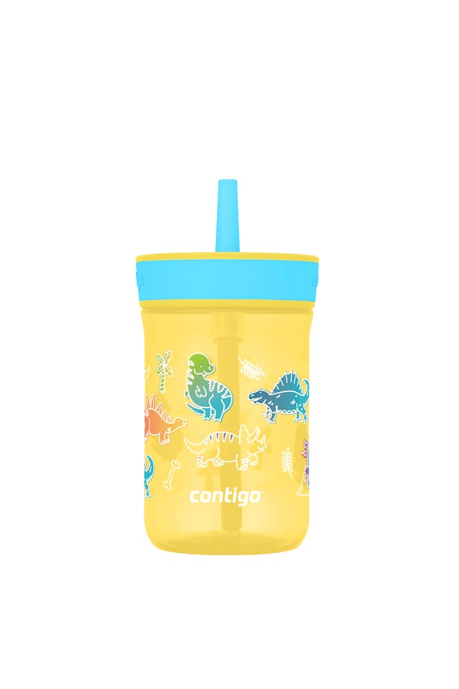 Kids’ Leighton Straw Tumbler with Spill-Proof Leak-Proof Lid, 14oz N9